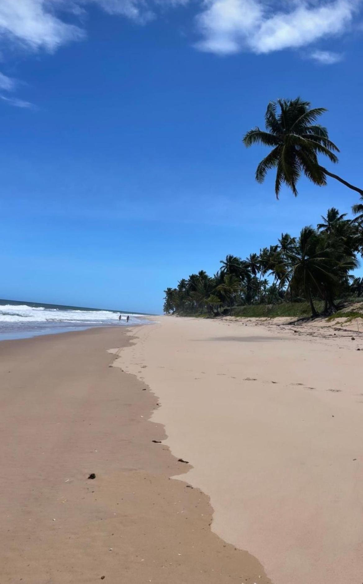 Praia Do Forte Iberostar 外观 照片